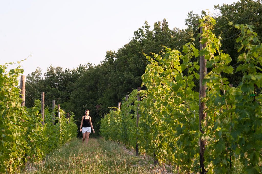 Quercia Belvedere Relais Bardolino Luaran gambar