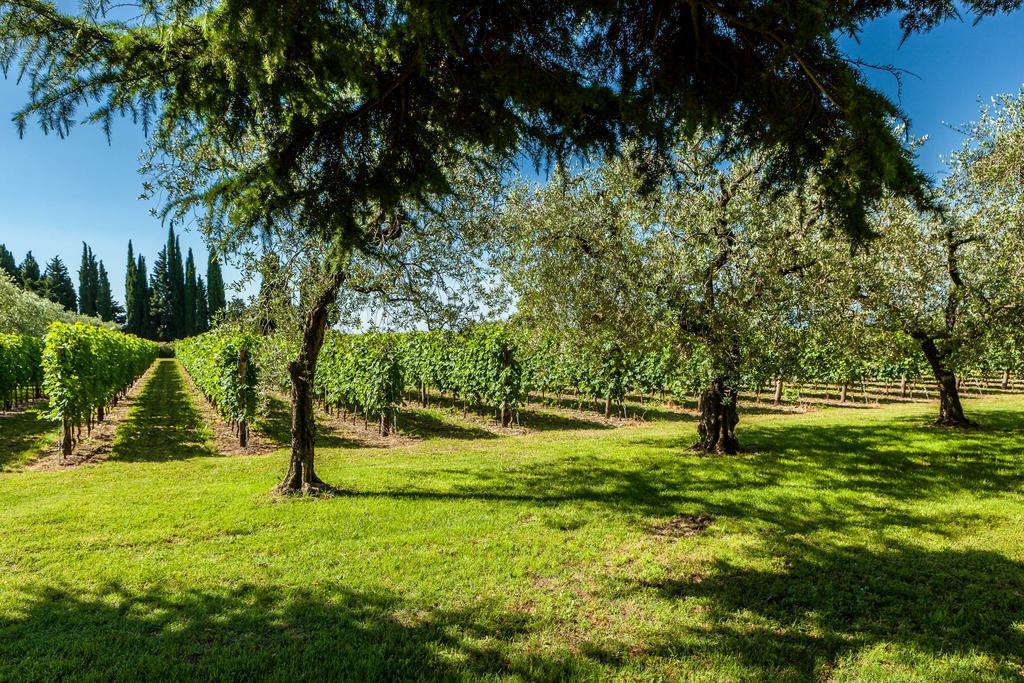 Quercia Belvedere Relais Bardolino Luaran gambar